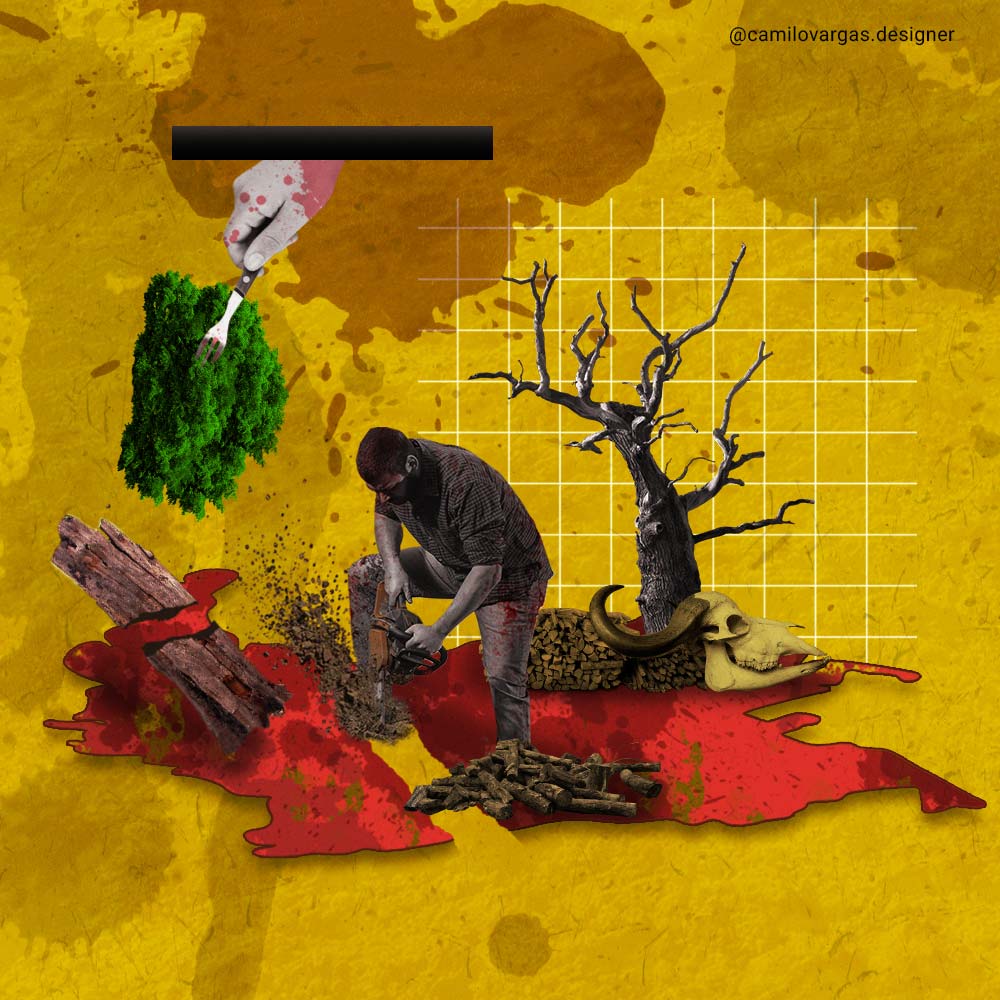 Carne sin deforestación, un largo trecho entre el mercadeo y la realidad