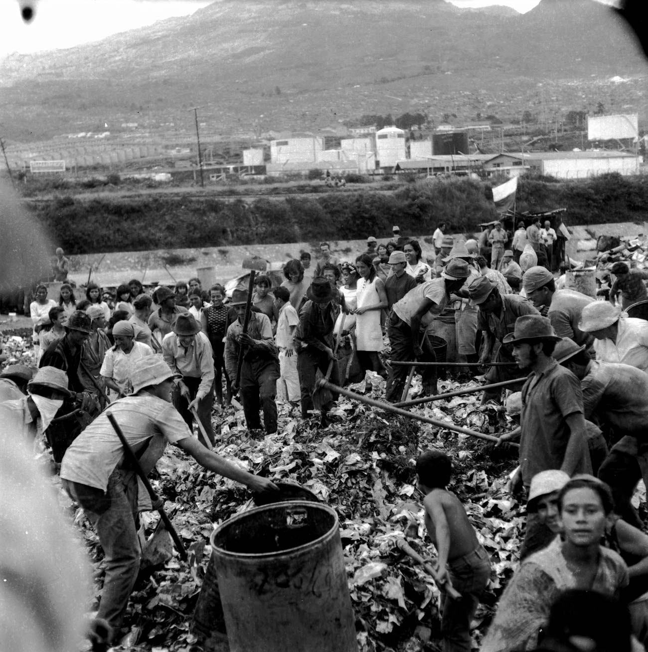 Memorias desde el tugurio